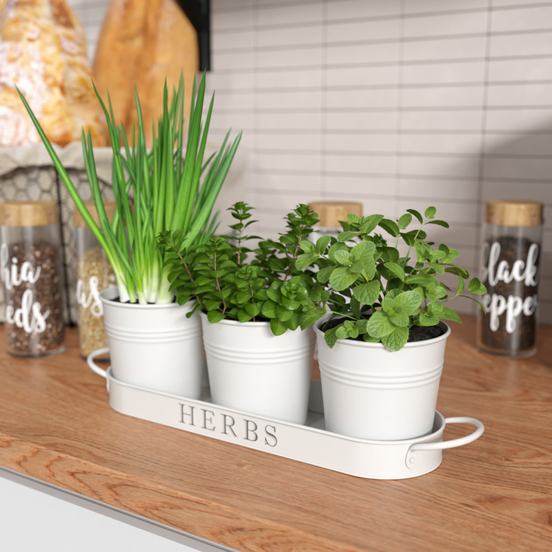 Garden & Patio Kitchen Herb Planter Set Of 3 Vintage